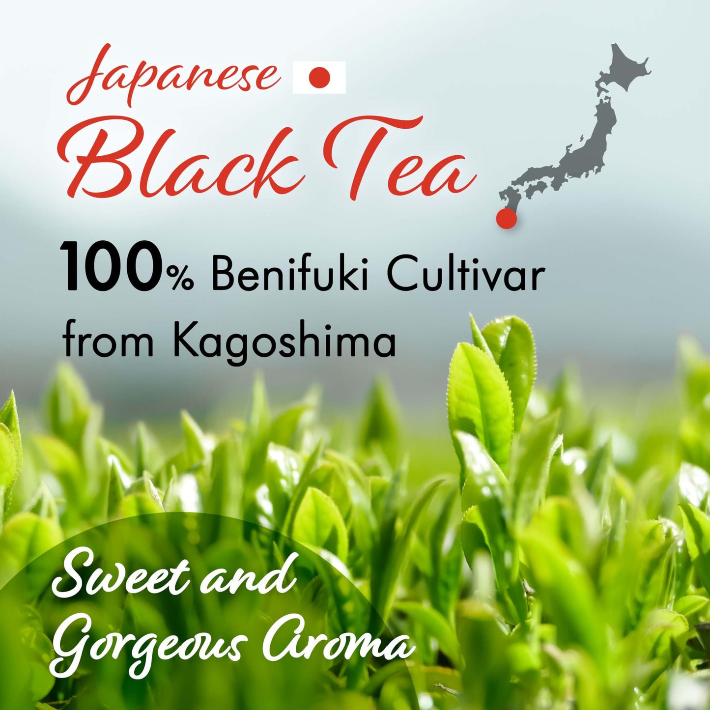 YAMASAN KYOTO UJI Sakura Japanese Loose Leaf Black Tea Bags
